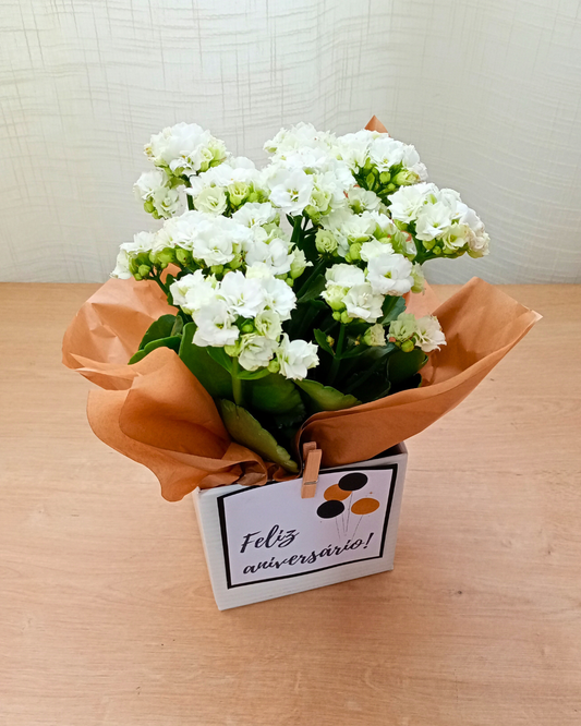 Adicional Flor Natural