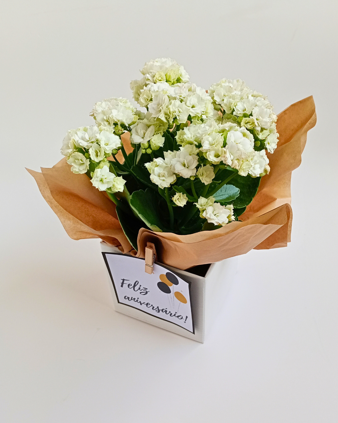 Adicional de Flor Natural da Fortuna