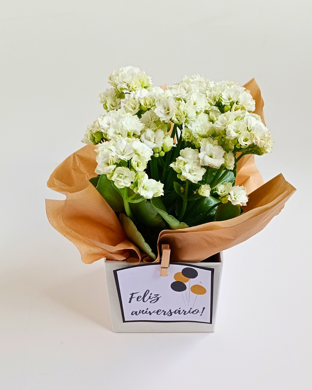 Adicional de Flor Natural da Fortuna