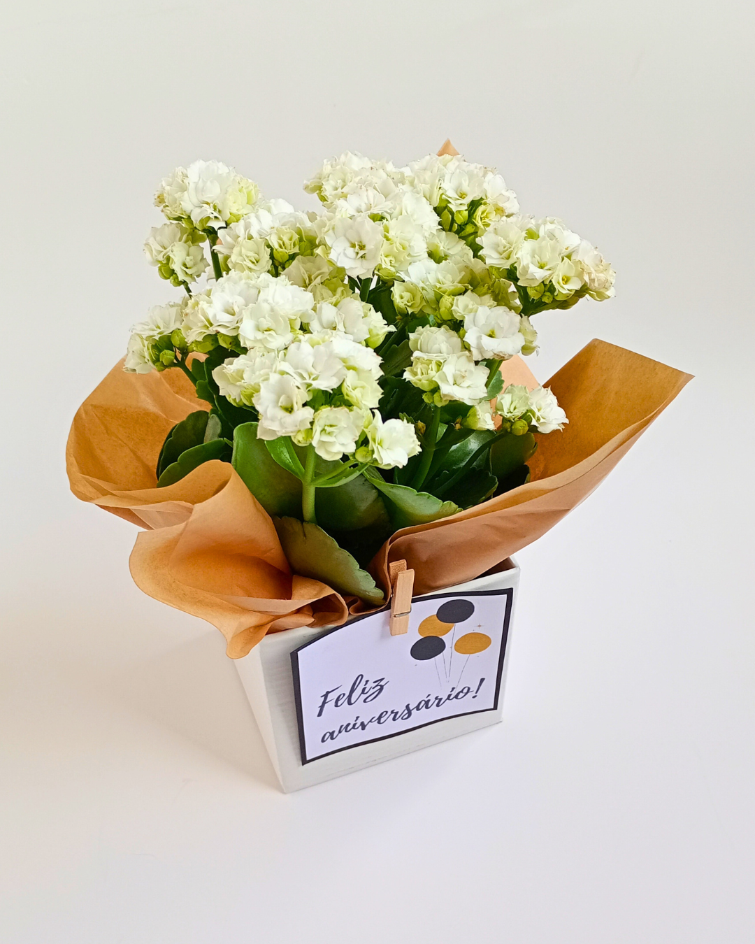 Adicional de Flor Natural da Fortuna