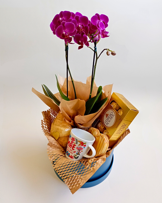 Cesta Mãe é Raiz com Orquídea Natural